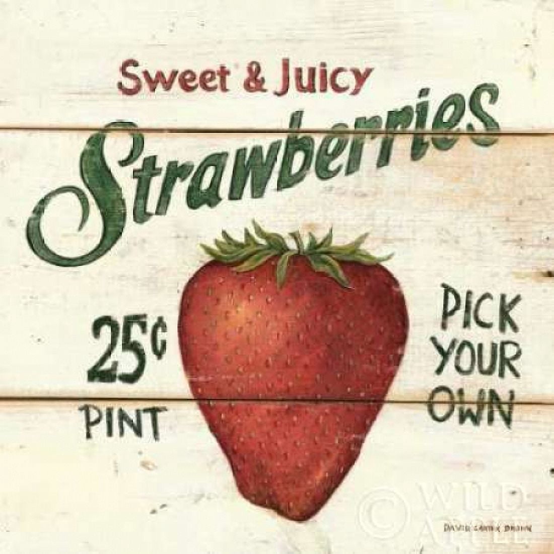 Sweet and Juicy Strawberries Canvas Art - David Carter Brown (24 x 24)