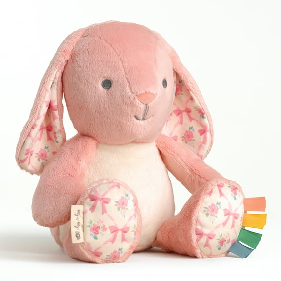 Itzy Ritzy Sweetie Snuggles Plush Pink Bunny