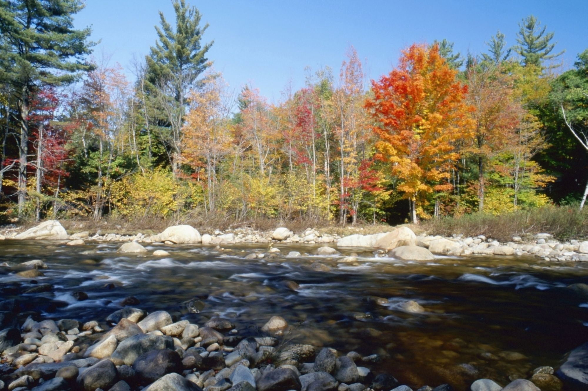 Swift River Canvas Art - Chris Coe Design Pics (38 x 24)