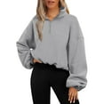 thumbnail image 1 of SwiftWear Women's Plush Fleece Half-Zip Mock Neck Sweatshirts Pullover Soft Textured Fashion Cropped Sweat Shirt with Athletic Fit, Cozy Casual Wear for Light Exercise Gray, 1 of 5