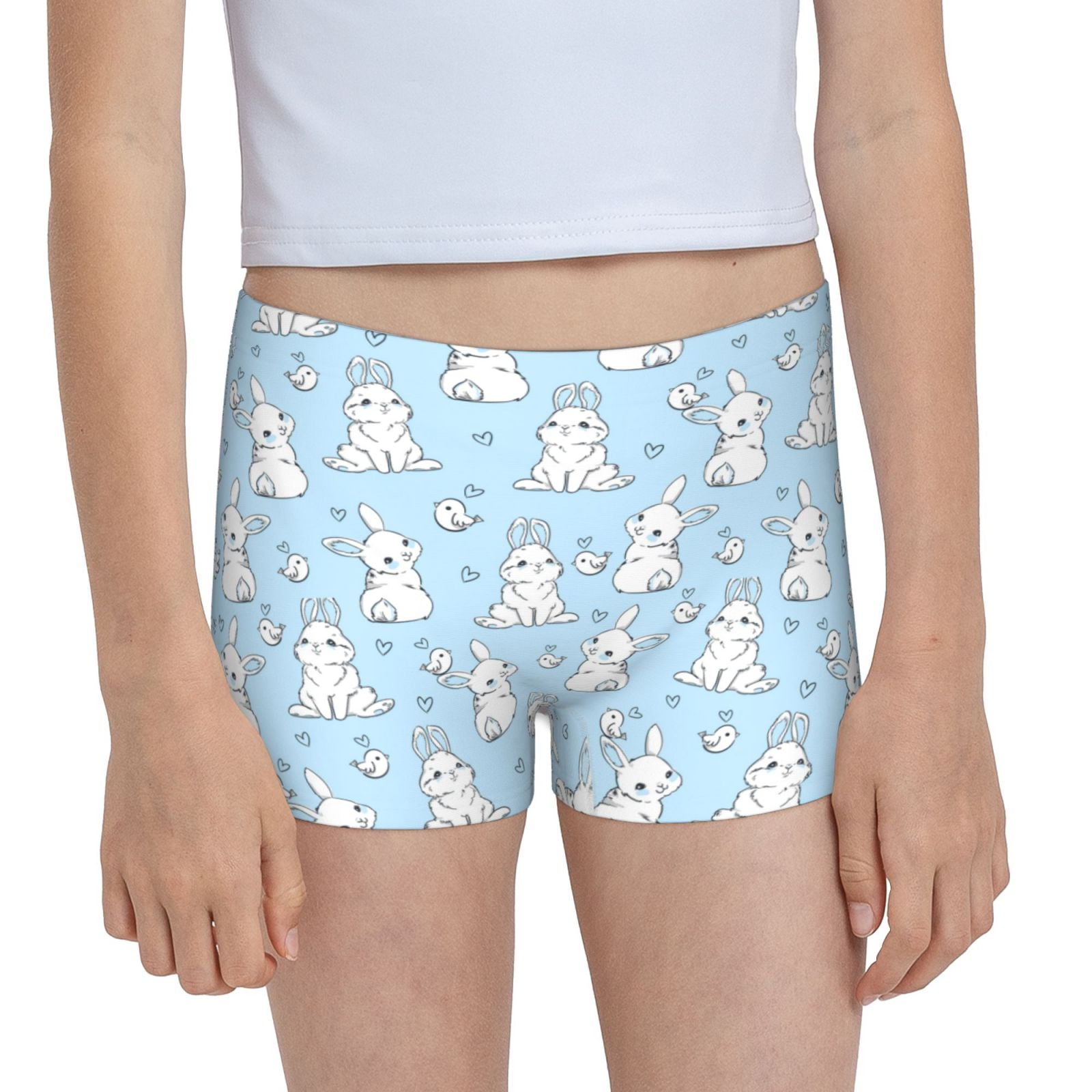 Easygdp Rabbit And Bird Girls Hipster Cotton Underwear Little Girls