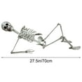 thumbnail image 1 of Swiftyle 1-3 PC 5.58ft Halloween Skeleton Prop - Full-Size One-Eyed Human Anatomy Model, Durable Plastic Construction, Perfect for Haunted Houses, Parties & Yard Decor, 1 of 6
