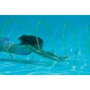Swim Central Underwater Swimming Pool Rainbow Hoops Set of 4
