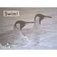 thumbnail image 1 of Pre-Owned Swim! (Fountas and Pinnell Leveled Literacy Intervention Books, Green System, Level A, Book 34) (Unknown) 032501857X 9780325018577, 1 of 1
