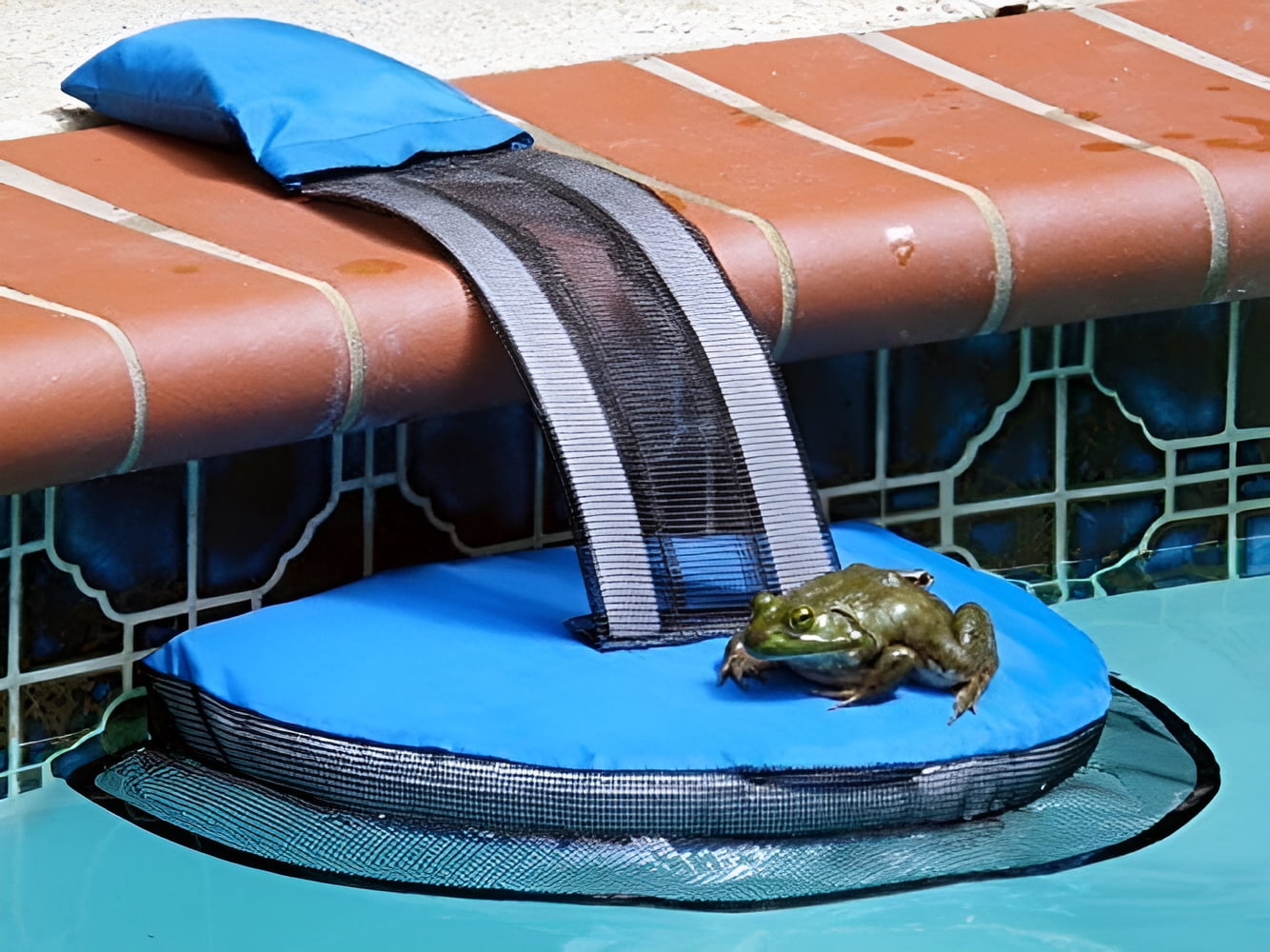 Swimline FrogLog Critter Saving Escape Ramp, Easy Setup, Keeps Water ...