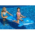 thumbnail image 1 of Swimline Dolphin Stable Pool Float, 1 of 4