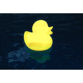 Swimline LED Ducky Light | Numerous Color Changing Options | Includes Rechargeable Remote Control