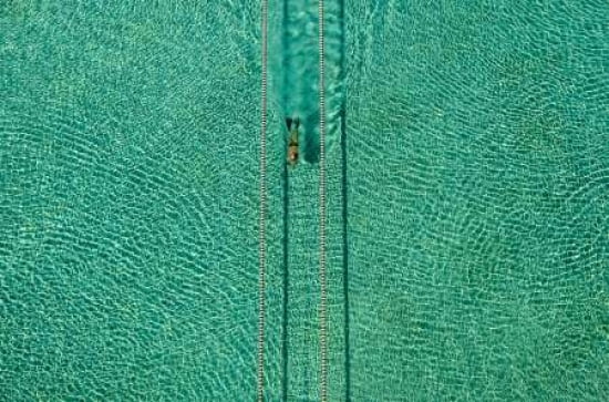 Swimmer Canvas Art - Hossein Nikzad Amoli (24 x 36)