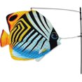 thumbnail image 1 of Swimming Fish - Threadfin, 1 of 1