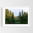 thumbnail image 1 of Swimming Hole #7 - Photography Forest Nature Woodland Scenic Wilderness Landscape Lake White Framed Wall Art Print 5 x 7 inches, 1 of 3