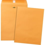 Clasp and Gummed Closure Envelopes, 9x12 Inch, 20 Count, 20 Pack