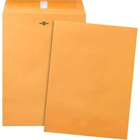 Clasp and Gummed Closure Envelopes, 9x12 Inch, 20 Count, 20 Pack