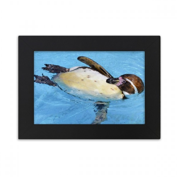 Swimng Antarctic Penguin Science Nature Picture Desktop Photo Frame Ornaments Picture Art Painting