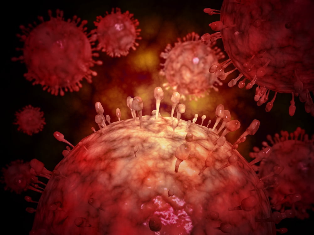 Swine influenza virus Canvas Art - Stocktrek Images (17 x 13)