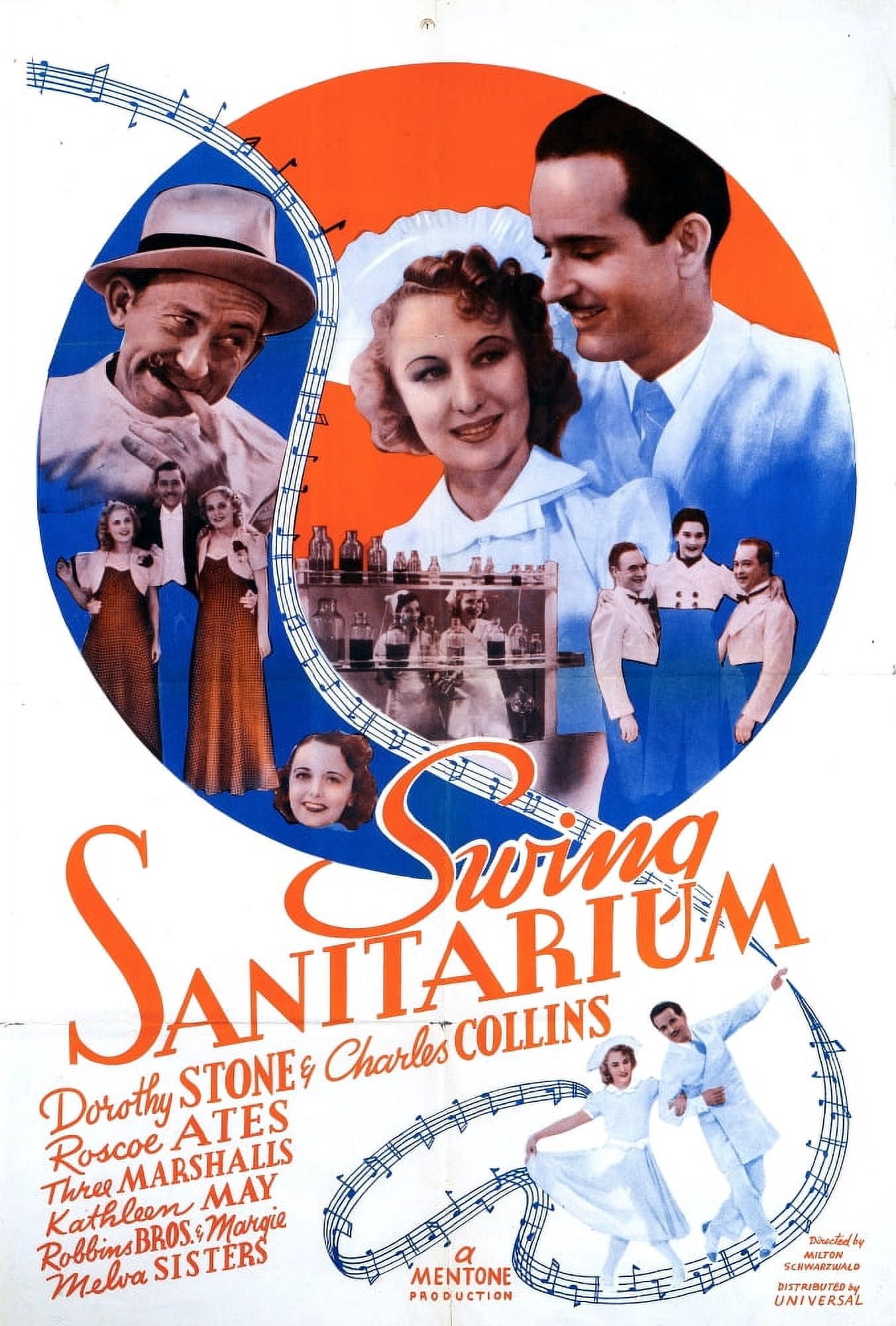 Swing Sanitarium Canvas Art - (24 x 36)