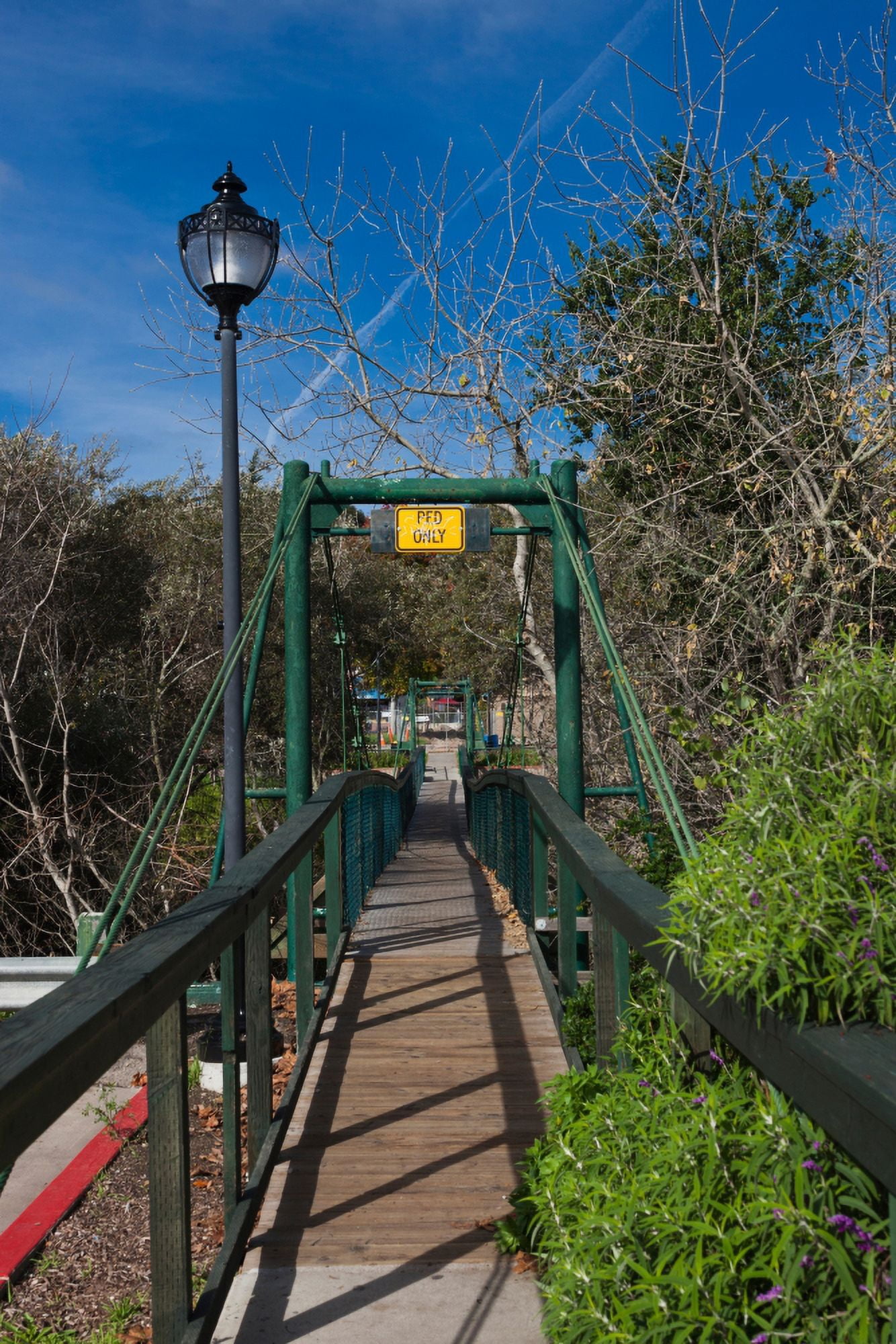 Swing bridge in a forest Arroyo Grande San Luis Obispo County California USA Canvas Art - Panoramic Images (36 x 12)