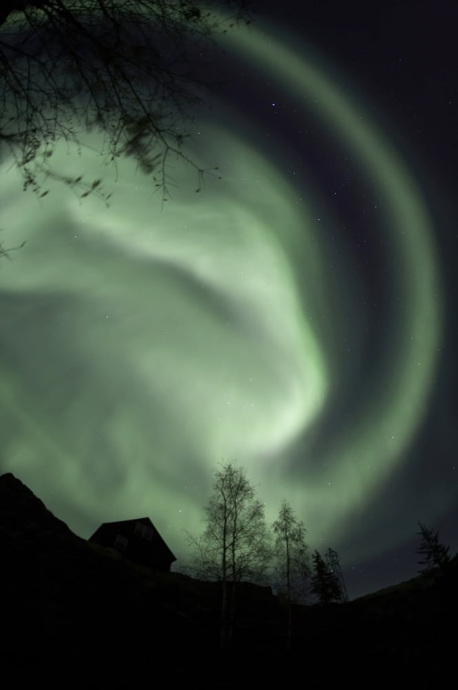 Swirling Aurora Borealis Fills The Night Sky On The Outskirts Of The Capital City Of Yellowknife Northwest Territories Canada Canvas Art - Dave Brosha Design Pics (11 x 18)