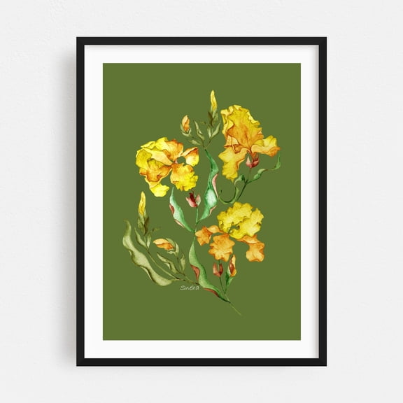 Swirling Watercolour Irises - India Painting Watercolor Floral Botanical Flowers Nature Illustration Garden Black Framed Wall Art Print 5 x 7 inches