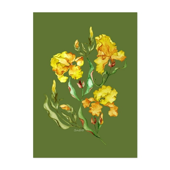Swirling Watercolour Irises - India Painting Watercolor Floral Botanical Flowers Nature Illustration Garden Unframed Wall Art Print 24 x 36 inches