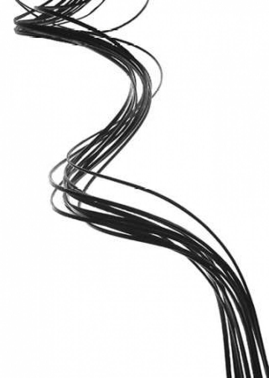 Swirls II Canvas Art - Monika Burkhart (20 x 28)