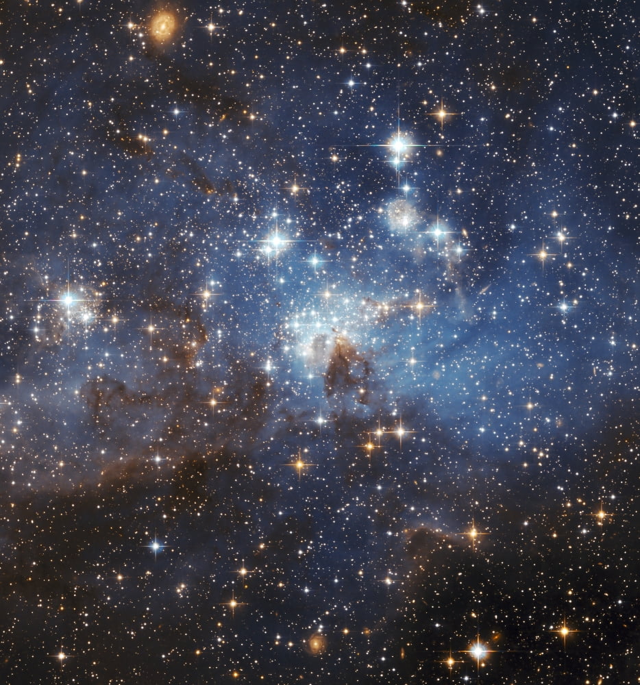 Swirls of gas and dust reside in this region of star formation inside the Large Magellanic Cloud Canvas Art - Stocktrek Images (27 x 29)