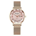 thumbnail image 1 of Swiss Brand POEDAGAR Women Watches Luxury Rose Gold Mesh Wristwatch Fashion Simple Waterproof Date Ladies Watch Bracelet Clock, 1 of 1