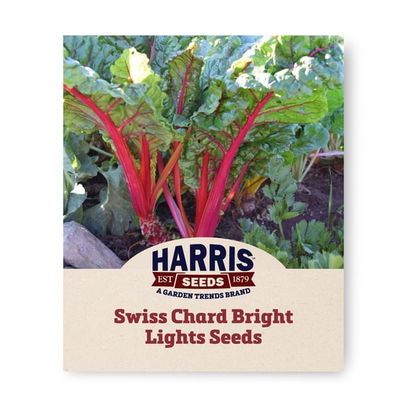 Harris Seeds Swiss Chard Bright Lights, Multicolor Stem Leafy Green Mix, 100 Count