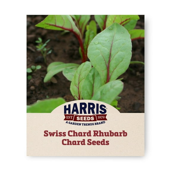 Harris Seeds Organic Swiss Chard Rhubarb, Large Leaves, 50 Count