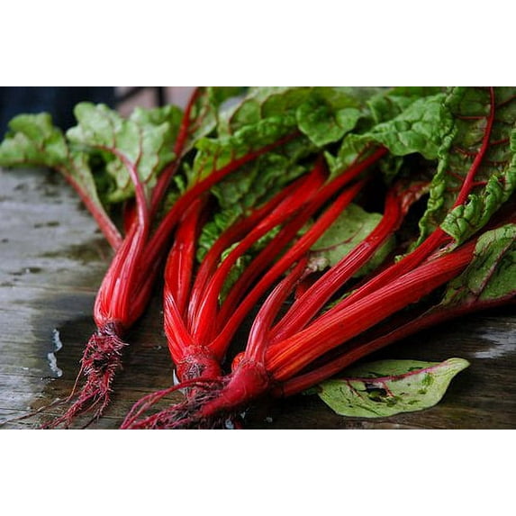Swiss Chard Ruby Red Garden Heirloom Vegetable by Seed Kingdom 1/4 Lb Seeds