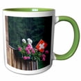 thumbnail image 1 of 3drose, Swiss Flag and Flower Pot, Wallis, Switzerland - Na02 Rnu0805 - Rolf Nussbaumer, 11oz Two-tone Green Mug, 1 of 6