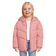 thumbnail image 1 of Swiss Tech Baby and Toddler Girls Puffer Jacket with Hood, Sizes 12M-5T, 1 of 6