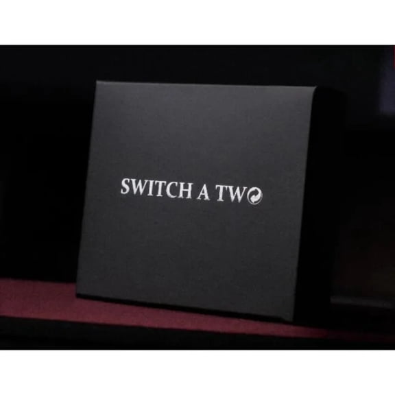 Switch-A-Two By Mark Mason Card Magic Tricks Close up Mentalism Magia Magie Magicians Prop Illusion Accessory Gimmick Tutorial