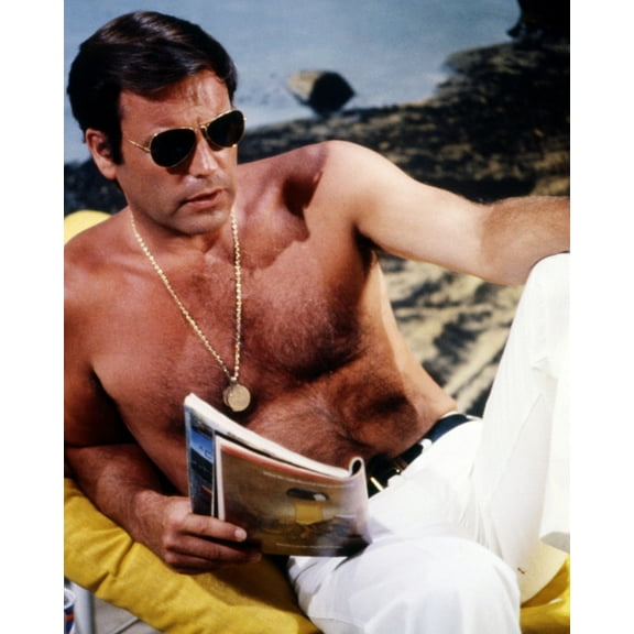 Switch Featuring Robert Wagner 24X36 Classic Hollywood Poster Beefcake Pose