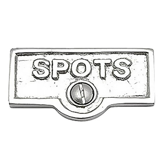 Switch Plate Tags SPOTS Name Signs Labels Chrome Brass Traditional Engraved Wall Light Switch Cover Labels Renovators Supply