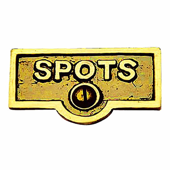Switch Plate Tags SPOTS Name Signs Labels Lacquered Brass Traditional Engraved Wall Light Switch Cover Labels Renovators Supply