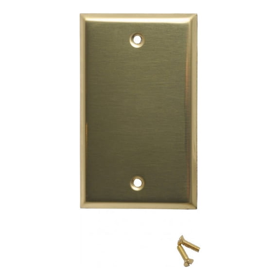Switch Plates Bright Solid Brass Single Blank | Renovator's Supply