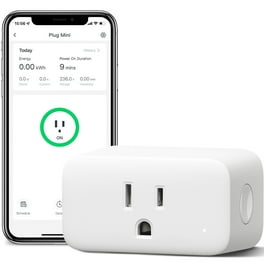 Wf96sh WiFi Mini Outdoor Smart Plug Work with Google Assistant, Alexa and  Homekit - China Outdoor Smart Plug, Work with Smartthings