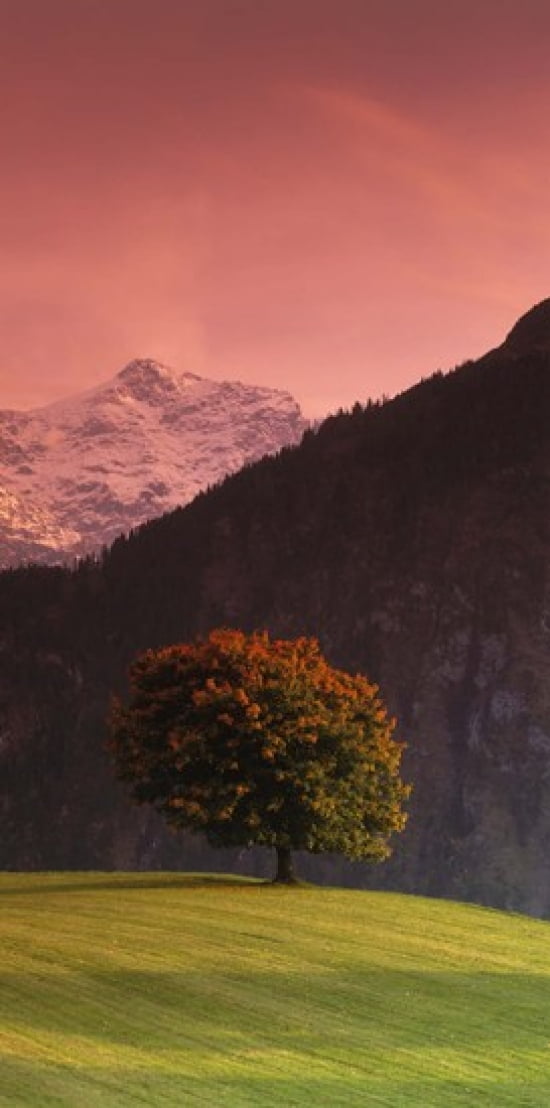 Switzerland Alps Canvas Art - Panoramic Images (24 x 12)