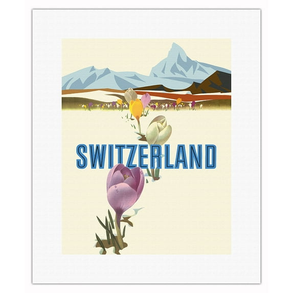 Switzerland - Crocus Flowers Swiss Alps - Vintage Travel Poster by David Klein c.1960 - Fine Art Rolled Canvas Print 11in x 14in