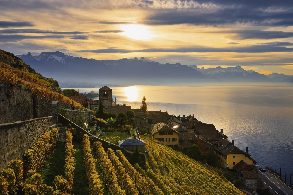 Switzerland Lavaux Unesco World Heritage region Vineyards Saint-Saphorin Canvas Art - Yves Marcoux Design Pics (19 x 12)