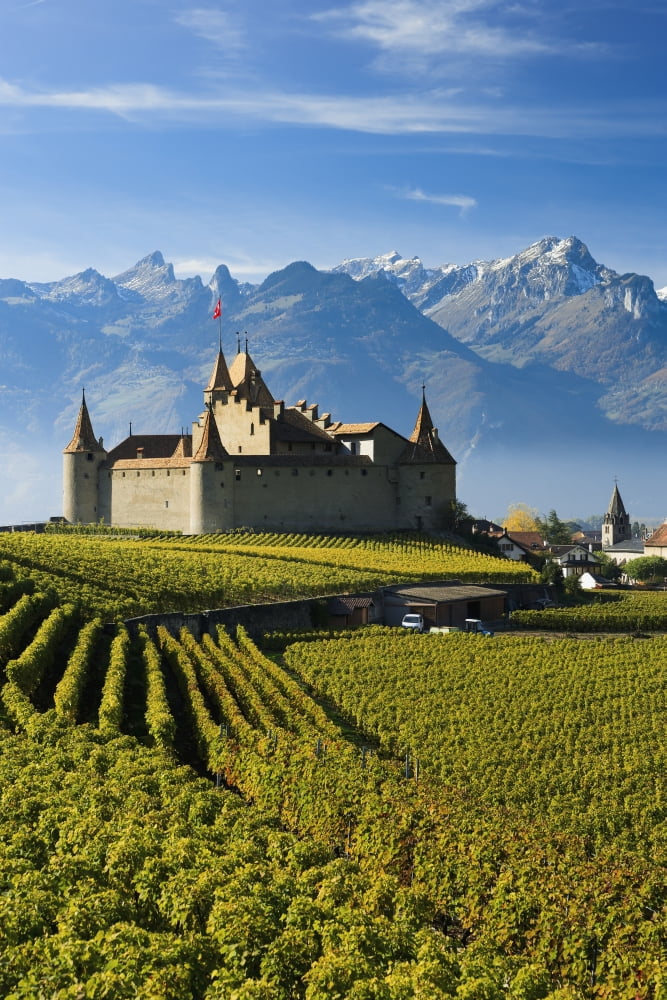 Switzerland Vineyards and castle Aigle Canvas Art - Yves Marcoux Design Pics (12 x 19)