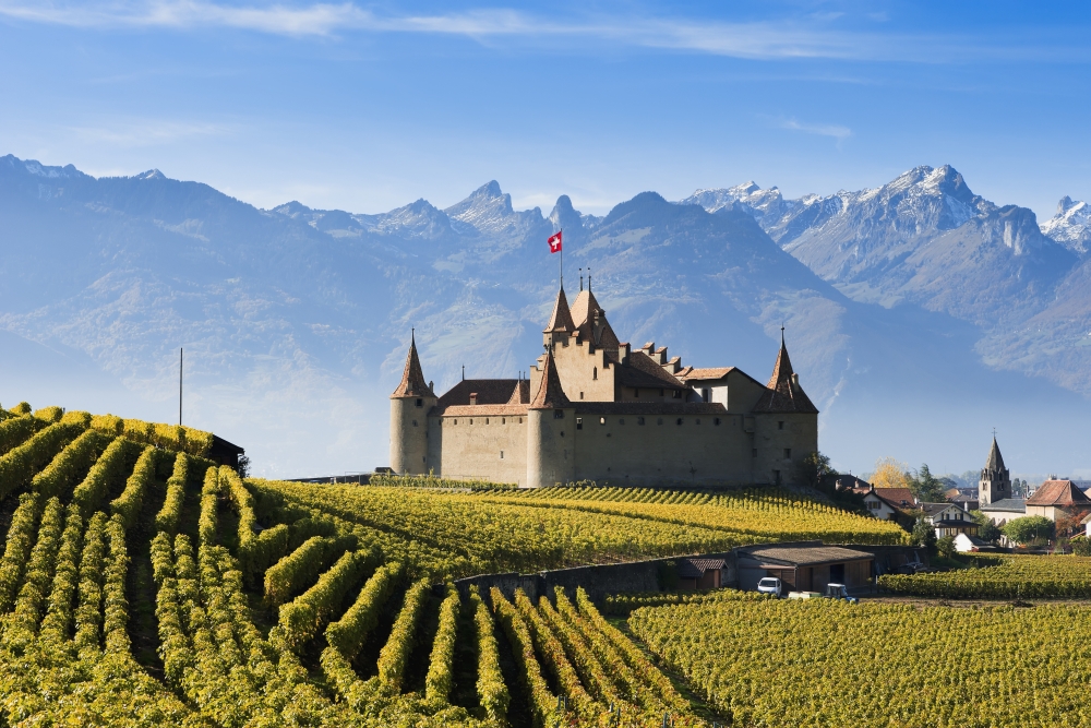 Switzerland Vineyards and castle Aigle Canvas Art - Yves Marcoux Design Pics (19 x 12)