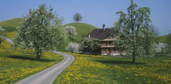 Switzerland Zug road Canvas Art - Panoramic Images (24 x 12)