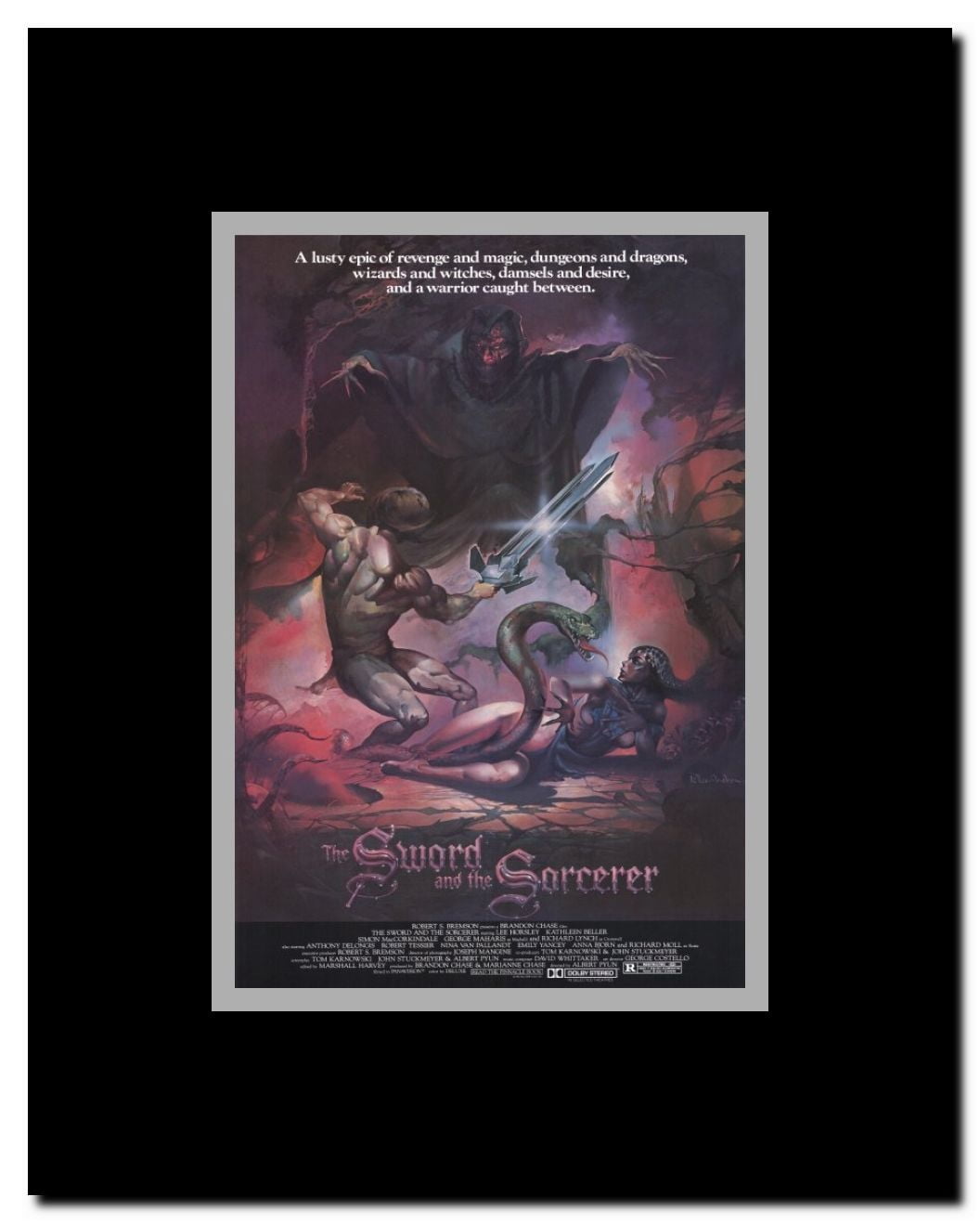 Sword and the Sorcerer Framed Movie Poster