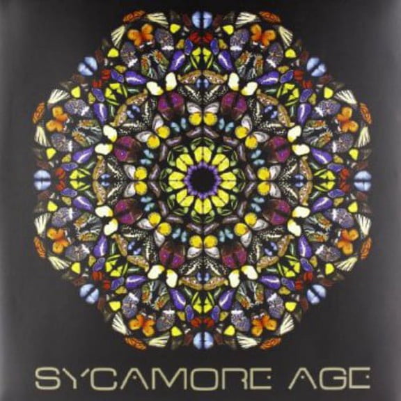 Sycamore Age (Other)