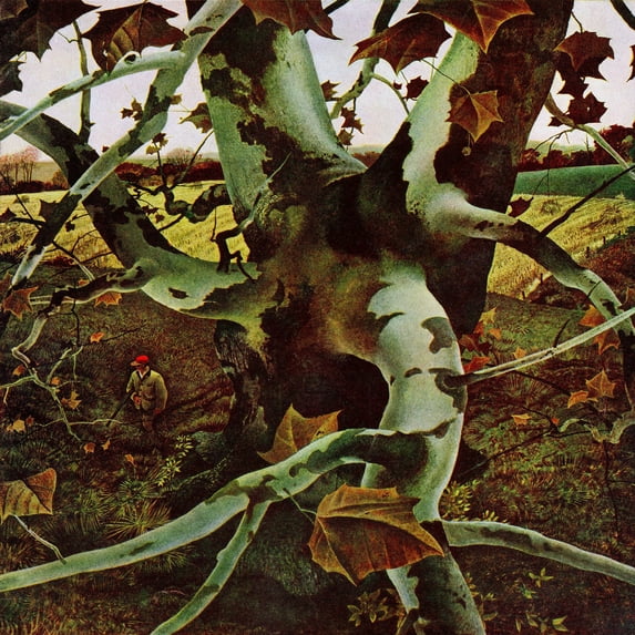 "Sycamore Tree" Painting Print on Wrapped Canvas