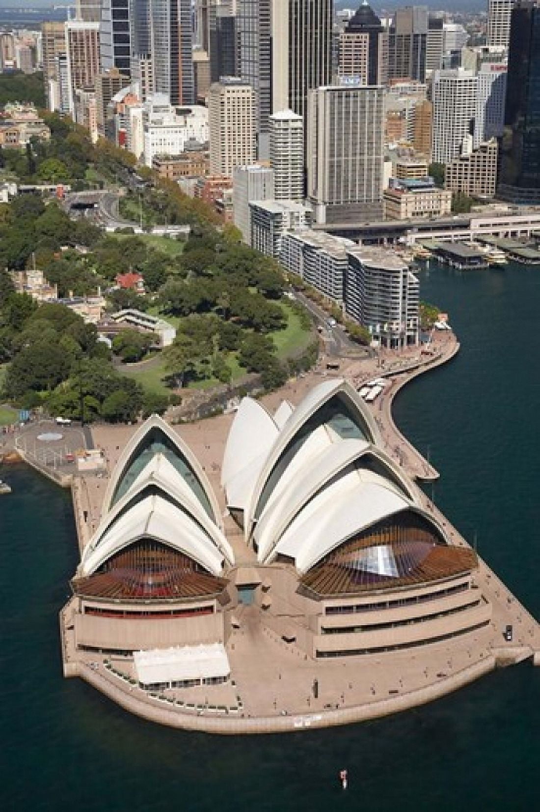 Sydney Opera House Botanic Gardens Sydney Australia Canvas Art - David Wall DanitaDelimont (17 x 26)