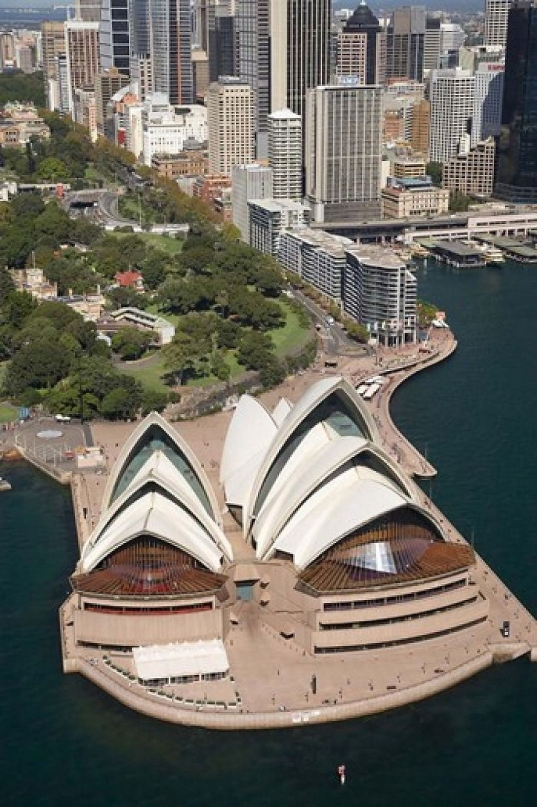 Sydney Opera House Botanic Gardens Sydney Australia Canvas Art - David Wall DanitaDelimont (24 x 36)