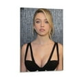 thumbnail image 1 of Sydney Sweeney Hot Girl Sexy Poster (83) Posters Art Print Wall Photo Paint Poster Hanging Picture Family Bedroom Decor Gift 16x24inch(40x60cm), 1 of 6