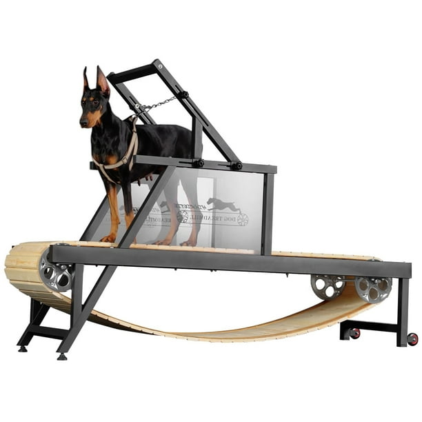 Syedee Dog Treadmill for Large Dogs Dog Slatmill for Healthy Fit Dog Life Dog Treadmill for Indoor Outdoor. Dog Treadmill for Dogs up to 250 lb Walmart Business Supplies